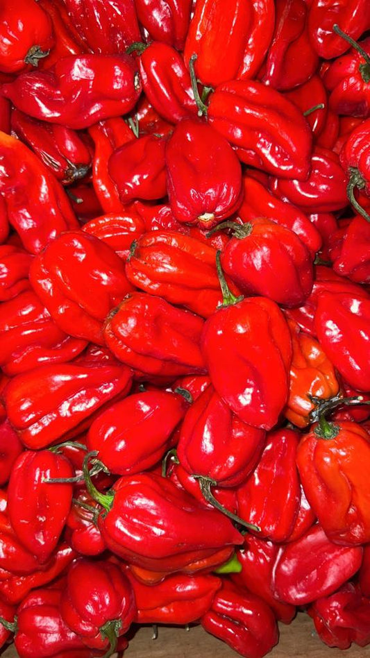 Red Fresh Pepper