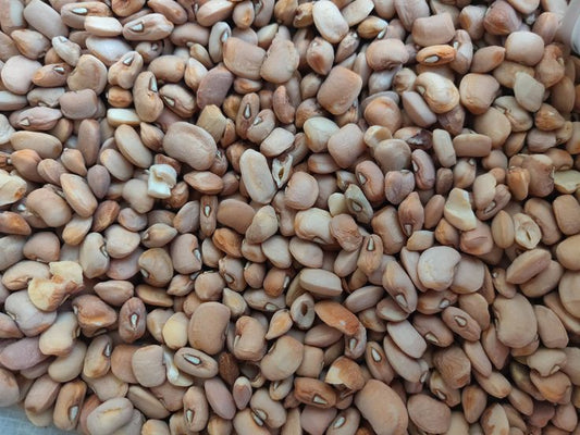 Honey Beans (Oloyin)